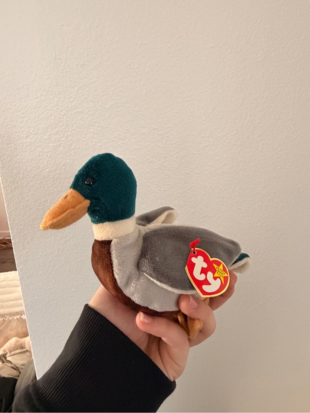 TY Beanie Plush Mallard Duck - Green, Gray, Brown